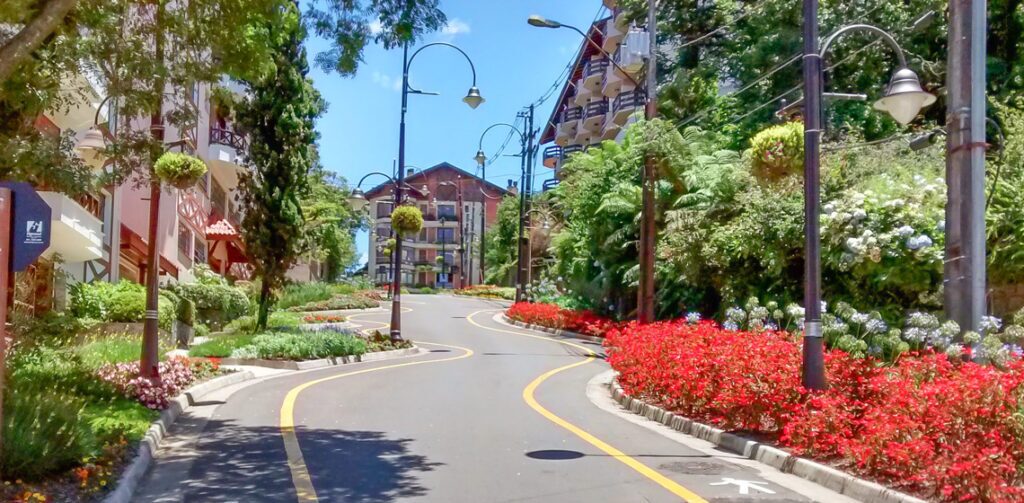 Vista de baixo da Rua Torta, na cidade de Gramado.
