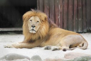 Zoológico em Balneário Camboriú.