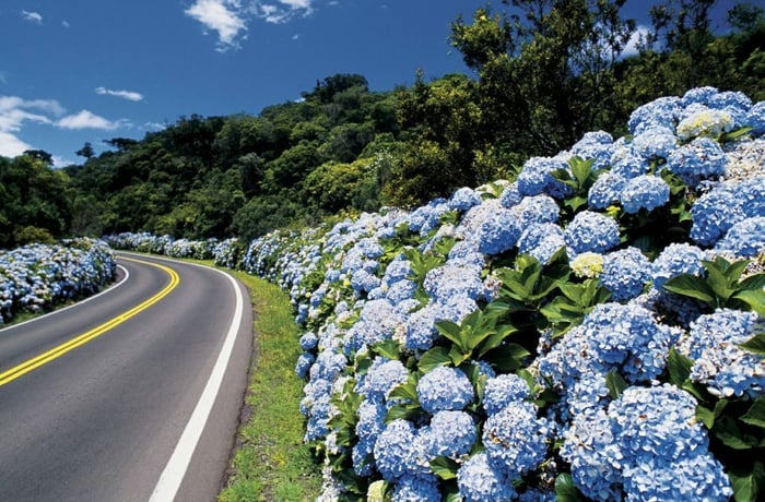 Gramado e Canela com para Casais Desconto no Tchê Ofertas